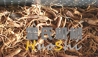 蒸人参体