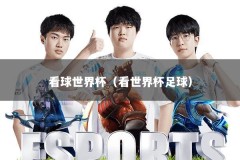 看球世界杯（看世界杯足球）