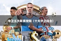 中卫五大联赛视频（十大中卫组合）