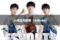 小炮五大联赛（小炮nba）