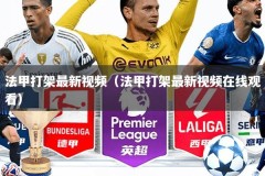 法甲打架最新视频（法甲打架最新视频在线观看）