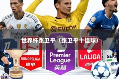 世界杯张卫平（张卫平十佳球）