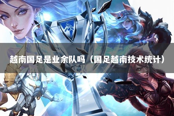 越南国足是业余队吗(国足越南技术统计)